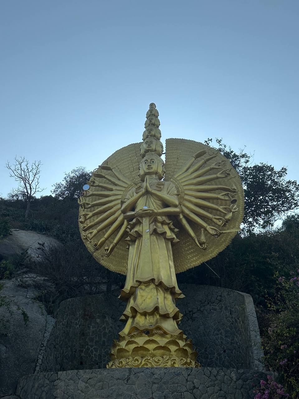 集体思维的力量：知识与机遇的协同效应